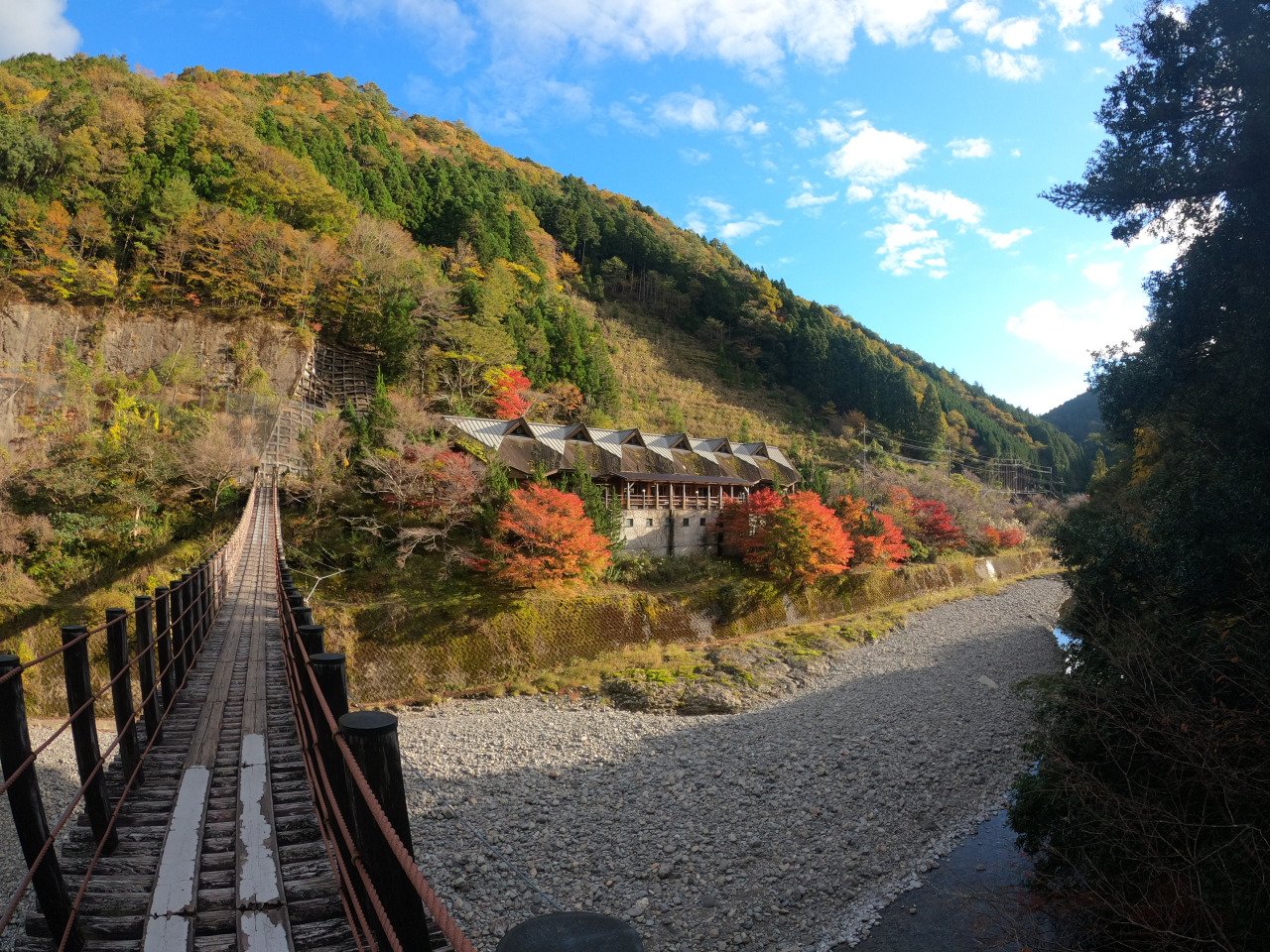 🌉 모미기 현수교 (모미기 쓰리바시) 이미지 5